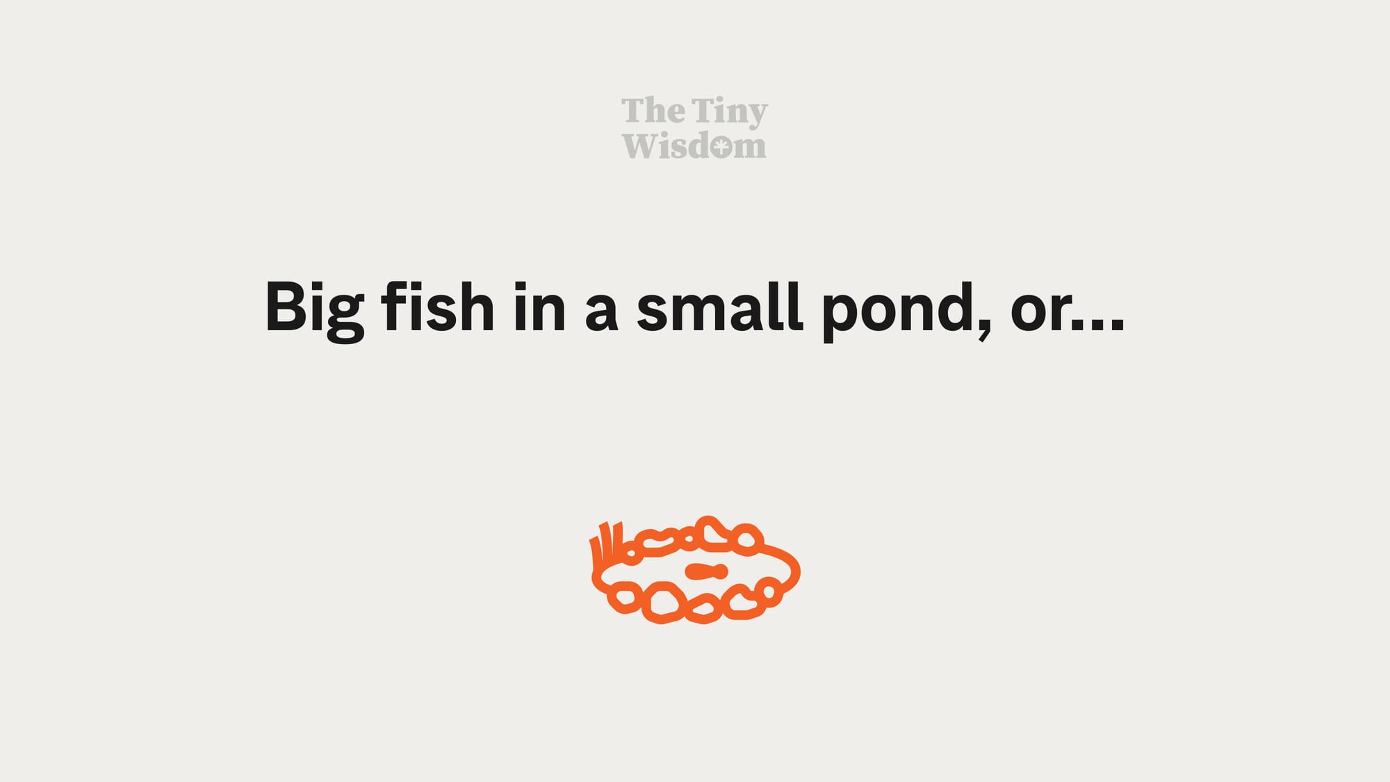 Big fish in a small pond, or…