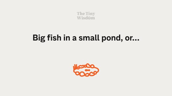 Big fish in a small pond, or…